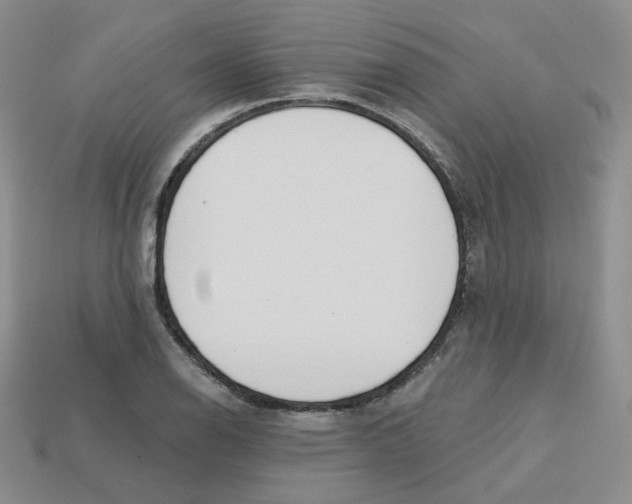 X0000113581126200910161534