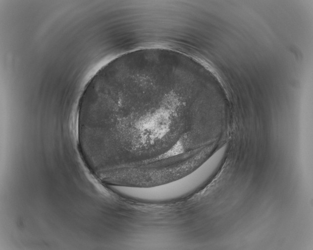 X0000113581127200910161534