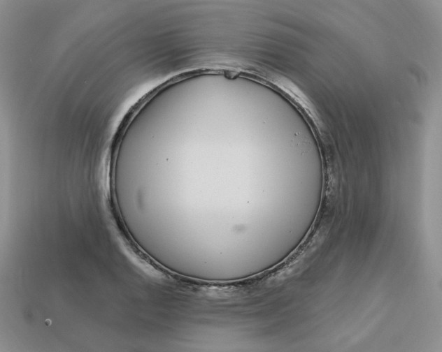 X0000113581128200910161534