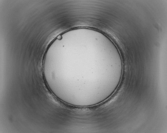 X0000113581129200910161534