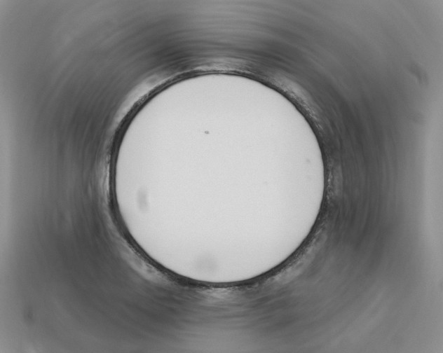 X0000113581130200910161534