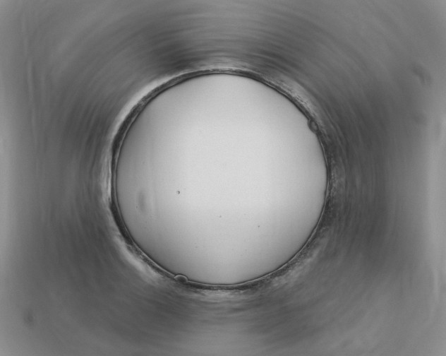 X0000113581132200910161534