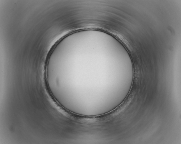 X0000113581134200910161534