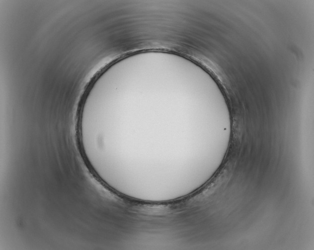 X0000113581135200910161534