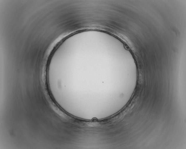 X0000113581136200910161534