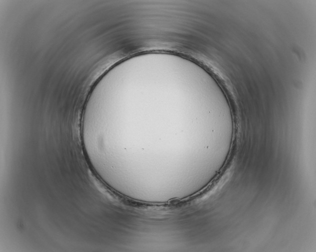 X0000113581137200910161534