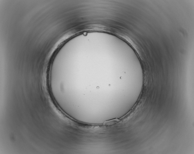 X0000113581139200910161534