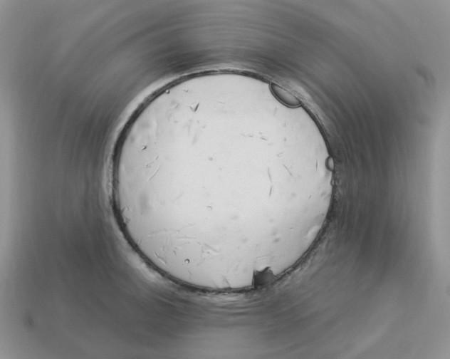 X0000113581140200910161534