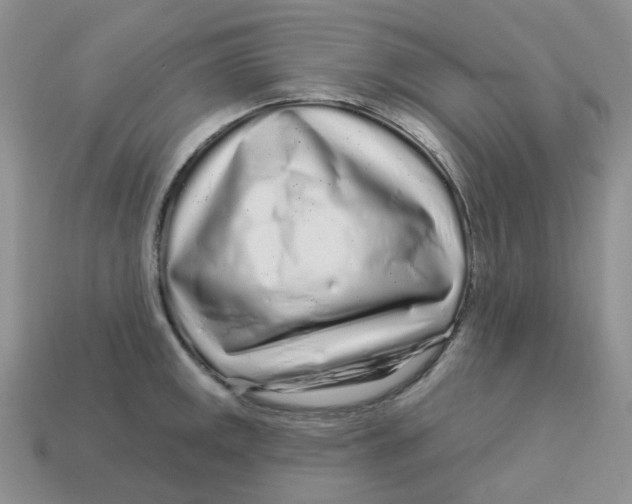 X0000113581141200910161534