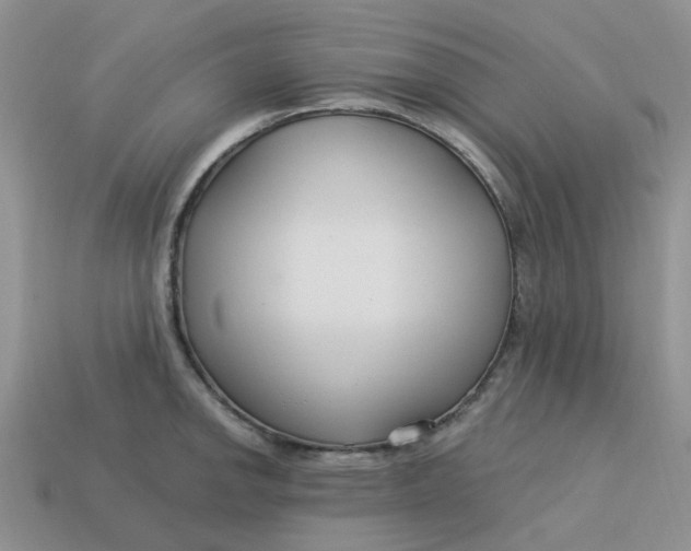 X0000113581142200910161534