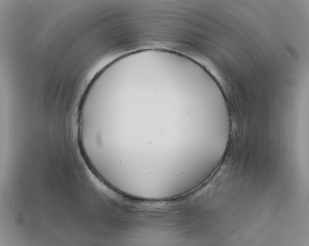 X0000113581143200910161535