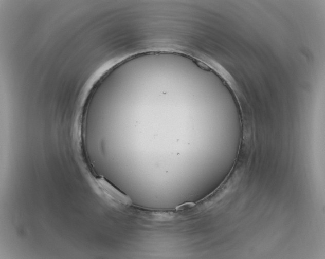 X0000113581144200910161535