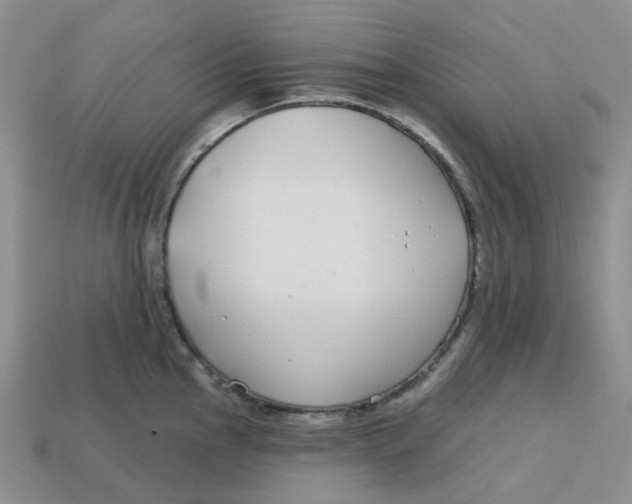 X0000113581145200910161535