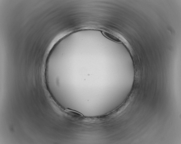 X0000113581146200910161535