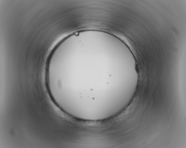 X0000113581147200910161535