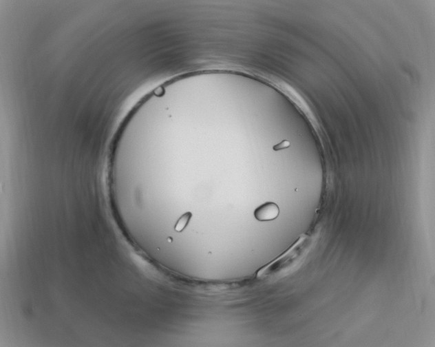 X0000113581149200910161535