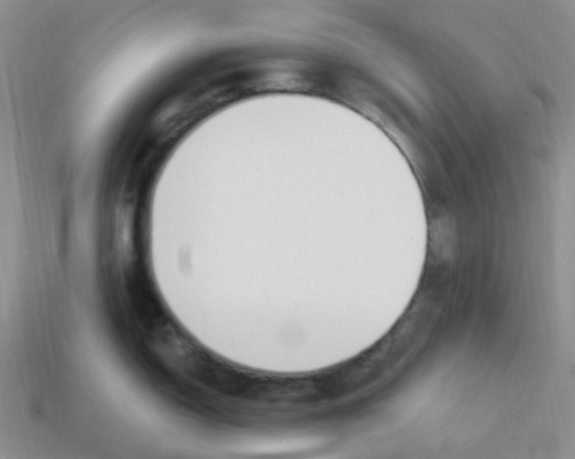 X0000113581150200910161535