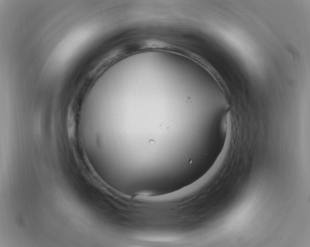 X0000113581151200910161535