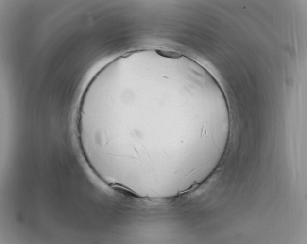 X0000113581152200910161535