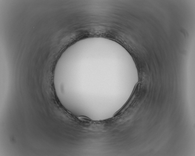 X0000113581153200910161534