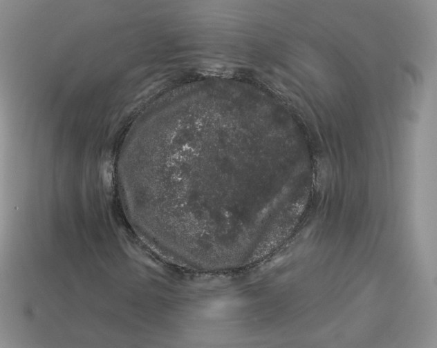 X0000113581154200910161534