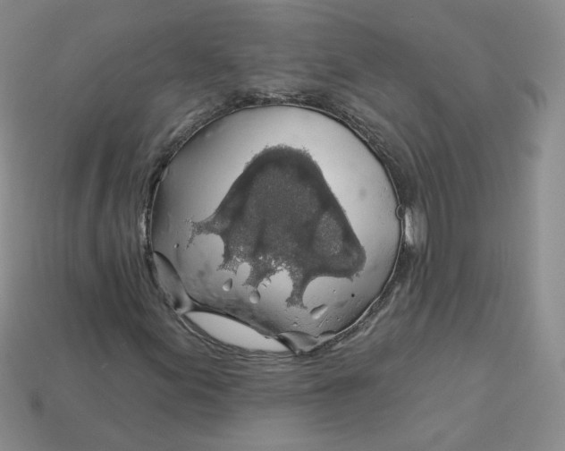 X0000113581155200910161534