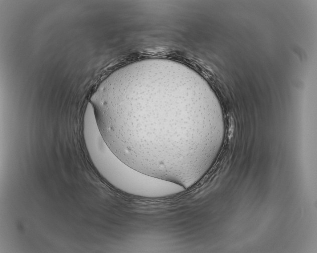 X0000113581156200910161534