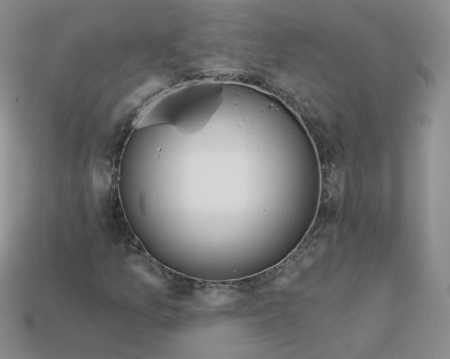 X0000113581157200910161534