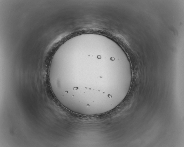 X0000113581159200910161534