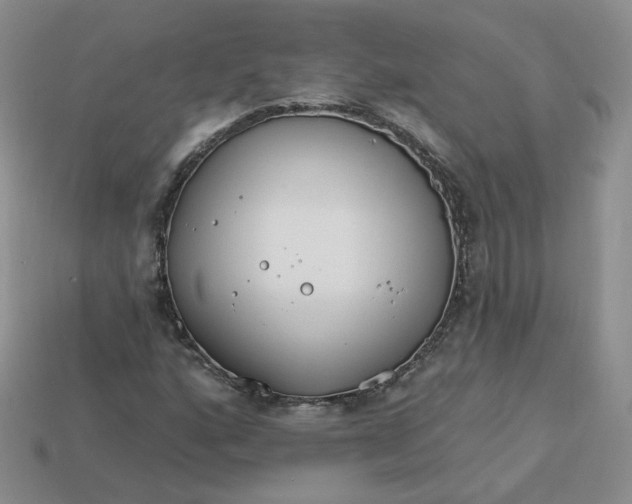 X0000113581160200910161534