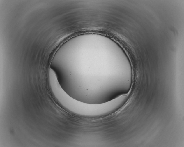 X0000113581161200910161534