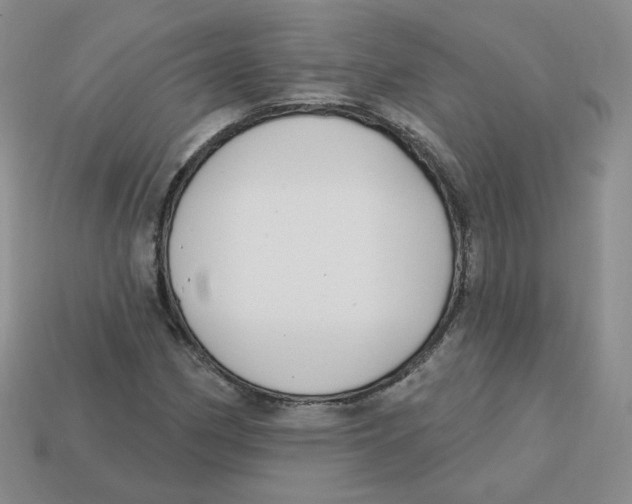 X0000113581162200910161534