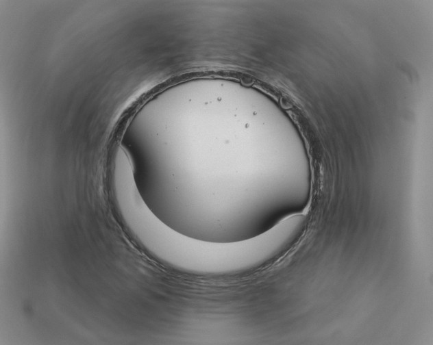 X0000113581165200910161534