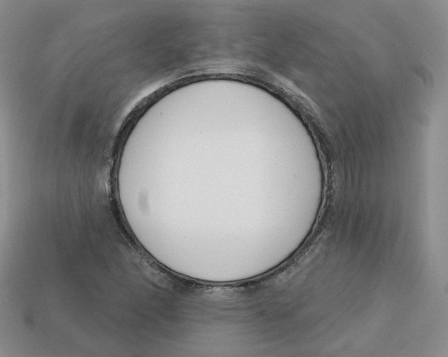 X0000113581166200910161534