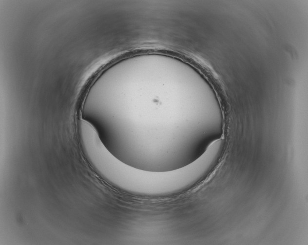 X0000113581167200910161534