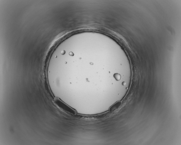 X0000113581168200910161534