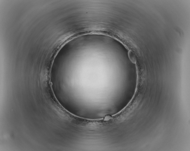 X0000113581169200910161533