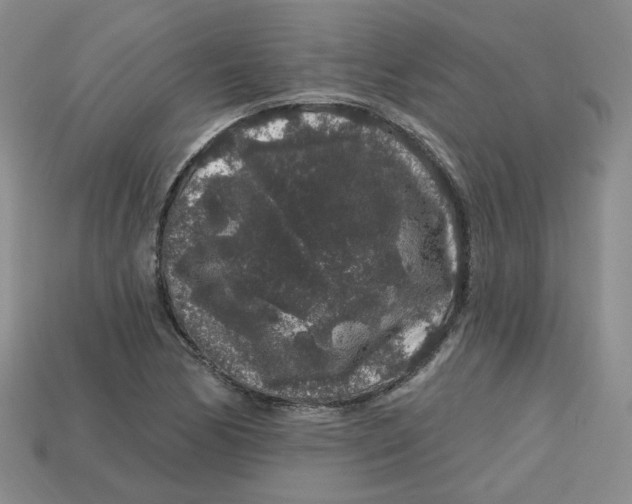 X0000113581170200910161533