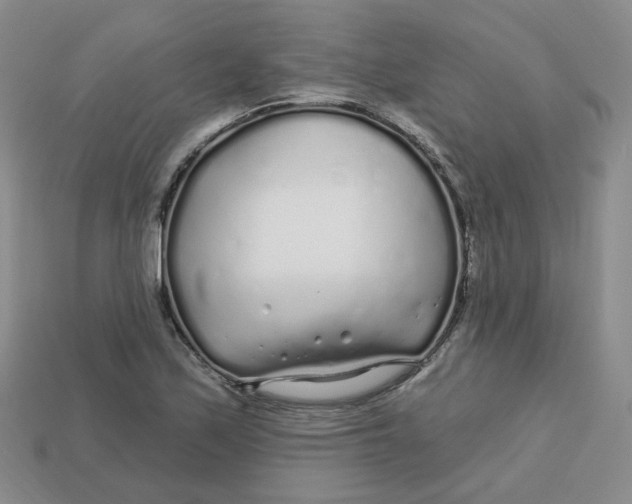 X0000113581171200910161533