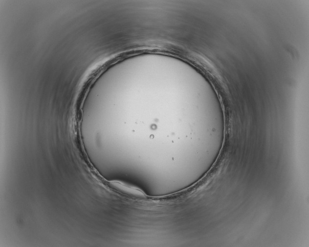 X0000113581172200910161533