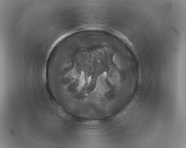 X0000113581174200910161533