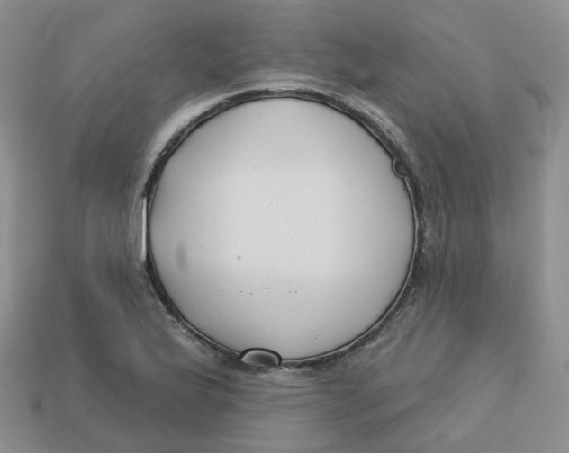 X0000113581175200910161533