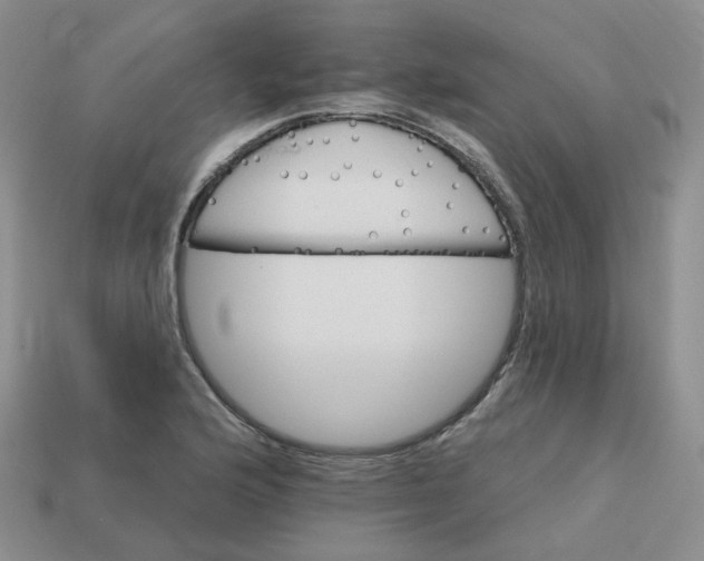 X0000113581176200910161533