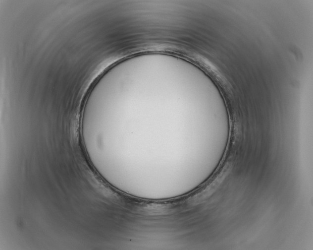 X0000113581178200910161533