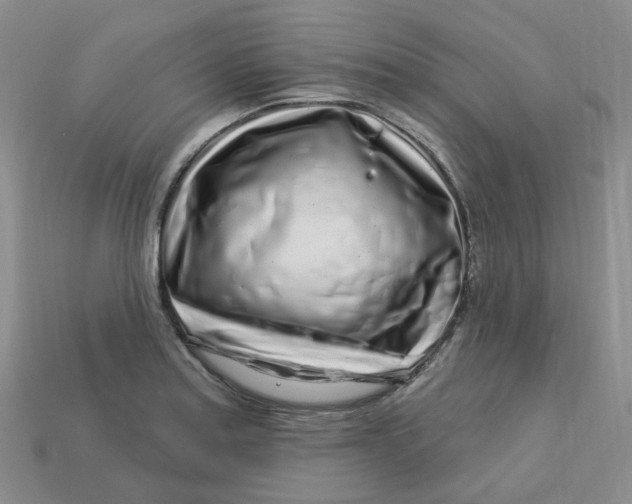 X0000113581179200910161533