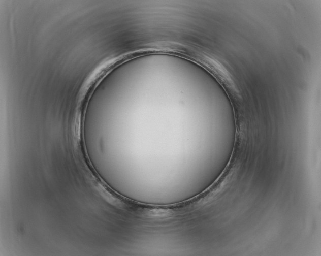 X0000113581180200910161533