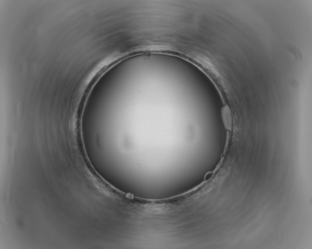 X0000113581181200910161533