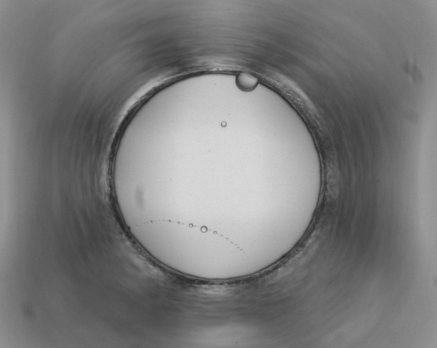 X0000113581182200910161533