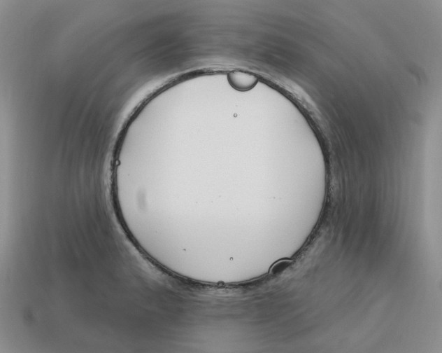 X0000113581183200910161533