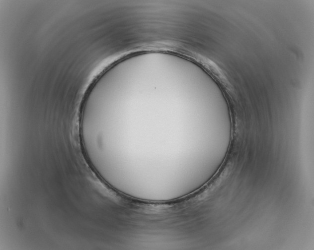 X0000113581184200910161533